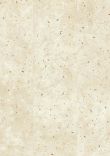 Quick Step Muse Botanic Concrete